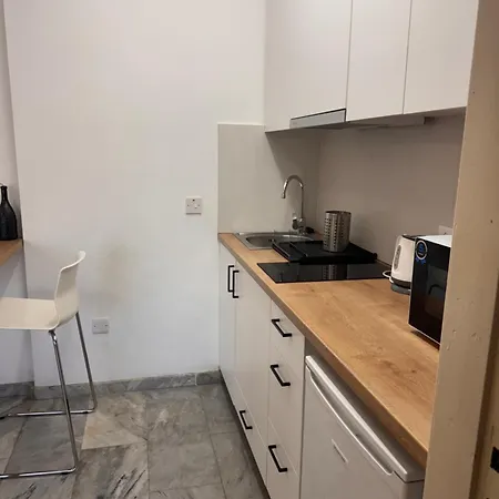 Downtown Cozy 公寓 *